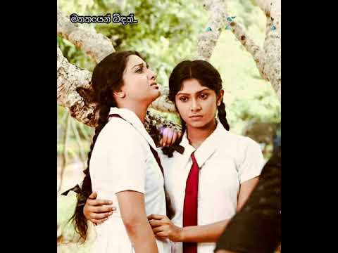 𝐒𝐮𝐝𝐮 𝐏𝐚𝐭𝐚 𝐌𝐚𝐥 𝐏𝐢𝐩𝐮𝐧𝐮 - 𝐤𝐚𝐫𝐮𝐧𝐚𝐫𝐚𝐭𝐡𝐧𝐚 𝐃𝐢𝐯𝐮𝐥𝐠𝐚𝐧𝐞💗සුදු පාට මල්  පිපුණු - කරුණාරත්න දිවුල්ගනේ