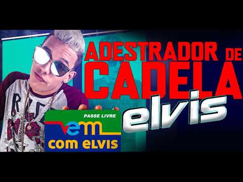 MC ELVIS / ADESTRADOR DE CADELA / DJ BRANQUINHO DO ALTO