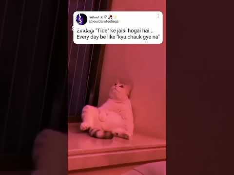 'kyu chauk gaye na'#life have become like tide #shorts #2022