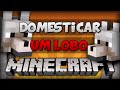 Minecraft: Como Domesticar um Lobo! [Domar ...