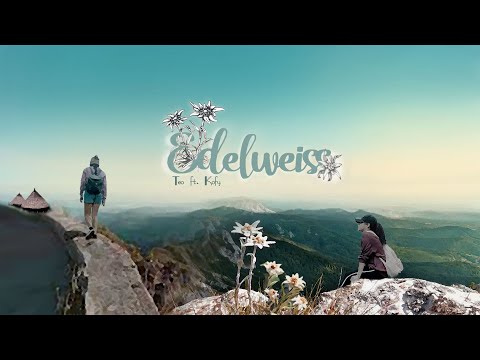 E D E L W E I S S  -  Teo ft  Kofy (Official Video)
