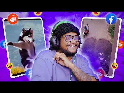  අලි වාහන සහ දේව දරුවෝ !! | The kota