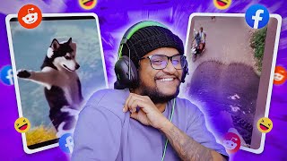 Download lagu  අලි වාහන සහ දේව දරුවෝ !! | The kota mp3