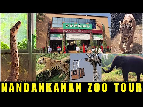 Nandankanan Zoological Park Full Tour 2025 | India's 2nd largest Zoo Nandankanan Zoo  #nandankanan