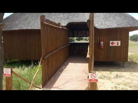 Mata-Mata Restcamp | Kgalagadi Transfrontier Park - South African walk through