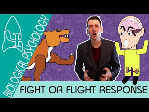 5 Fight or flight response