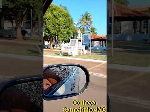 Carneirinho-MG #shorts
