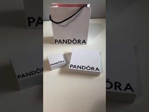 Pandora Charm Bracelet Unboxing!