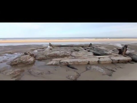 The Field Mice ‎– Emma's House