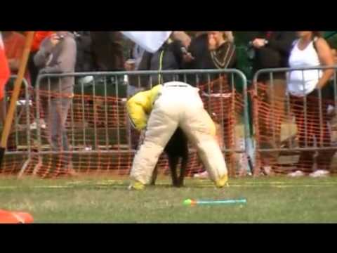 Gerson part 2  - FMBB WM 2011 1.Platz