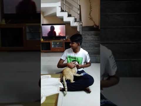 Me when I'm bored part 2