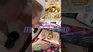 Time Lapse: Building the Pokémon Eevee Quick Build Model! ⚡🦊 #pokemoncollector #brodysripzandtipz