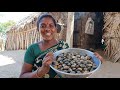 மதினி செய்த கடல் சிப்பி தொக்கு | Sea oyster collection made by Madhi