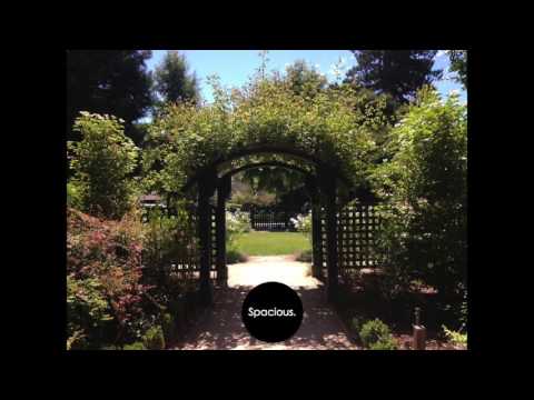 Jean Tonique | Lit Up feat. Dirty Radio