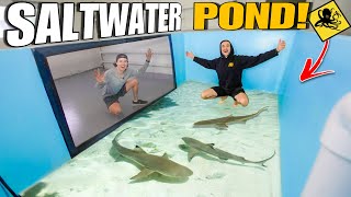 The GIANT SALTWATER POND For Tons Of EXOTIC FISH & SHARKS is Back!
