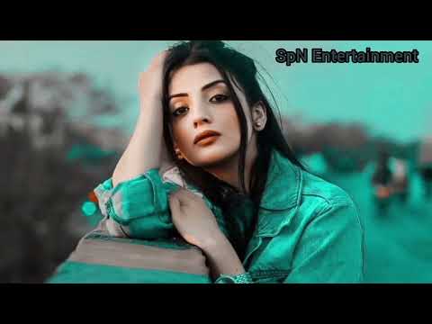 Hum To The Anjane (Jungle Love) #hindi #song #spn entertainment #hindi romantic songs 💗💗