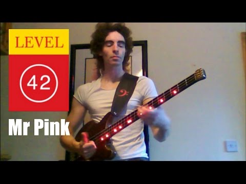 Mr Pink by Level 42 - Karl Clews on bass