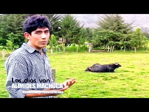 ALIMIDES MACHUCA AGUILAR-LOS DIAS VAN-Official Youtube