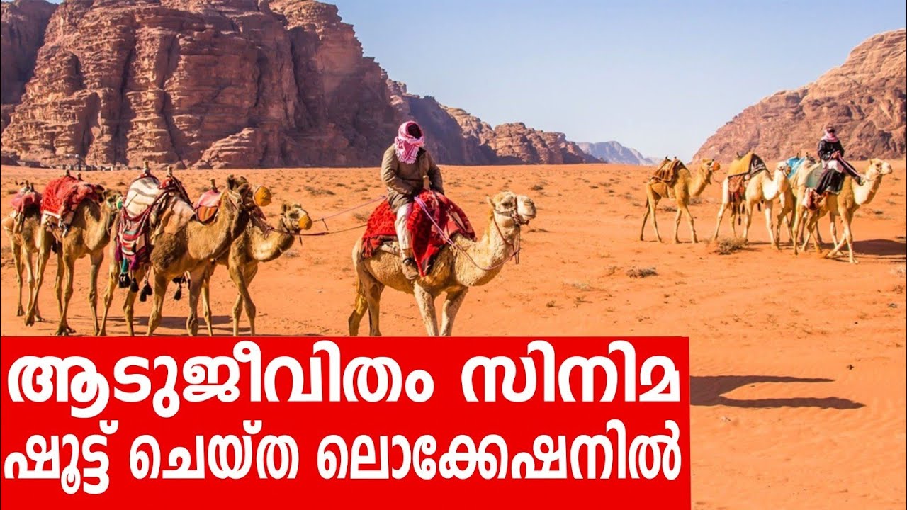 Sancharam | Jordan - 12 | Santhosh George Kulangara | Safari TV