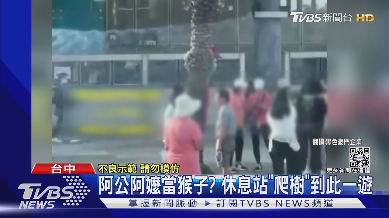 阿公阿嬤當猴子? 休息站「爬樹」到此一遊