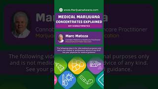 Cannabis Concentrates Explained 🌿