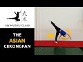 Wushu Aerial The Asian Technique