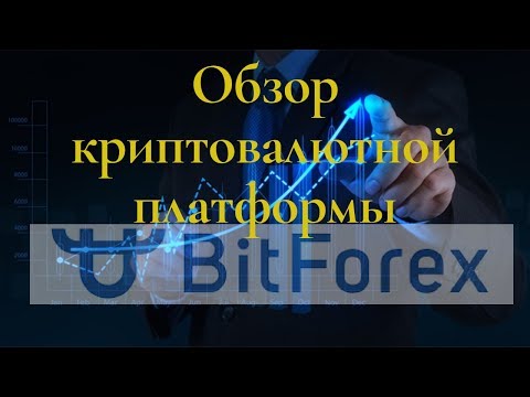 BitForex: обзор биржи. Биржа криптовалюты BitForex