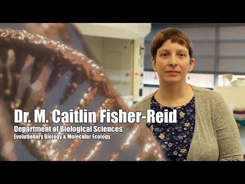 Dr. M. Caitlin Fisher-Reid | Biological Sciences | Bridgewater State University