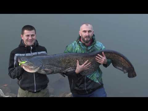 Hooked On - Som na Zapadnoj Moravi