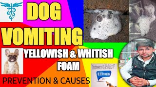 dog vomiting ( yellow & white foam ) || prevention & cause || Treatment || by THE PET VISION || S.M.