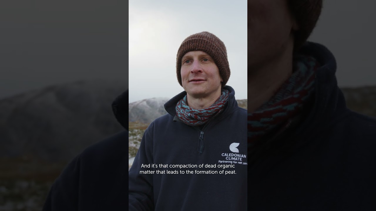 ever wondered what it takes to restore peatlands? #nature #wetlands