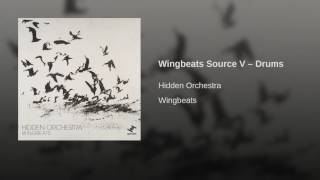 Wingbeats Source V – Drums
