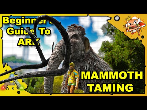 Best Way To Get Wood? How To Tame & Breed Mammoths - A Beginners Guide - Ark: Survival Evolved S4E25