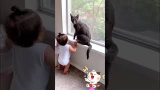 Download lagu Cats vs Baby 🤣🤣                    Source : https://vm.tiktok.com/ZSHvfxSH8aSee-LvYt6/ mp3