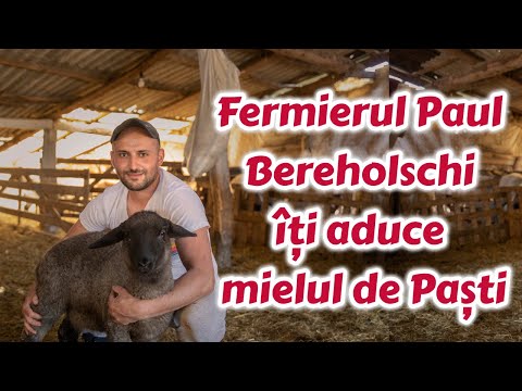 Un fermier din Beregsău Mare îți aduce mielul de Paște