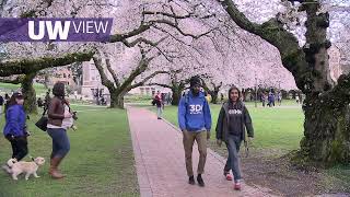 Archive: UW View - Quad Bloom