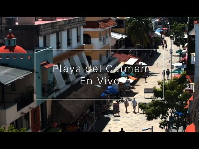 Live webcam view of Fifth Avenue Rooftop View, Playa del Carmen