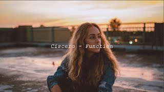 Ciscero - Function (ft. Goldlink, April George, Cheakity)