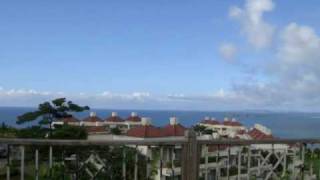 Hi-STANDARD [[ WHO' LL BE THE NEXT ]]  Last of Sunny Day1/6ハイスタ