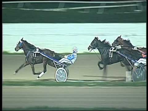 Trotto 29/11/2015 - 8° corsa