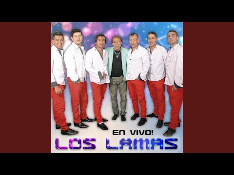 Si Volvieras Beatriz - Los Lamas