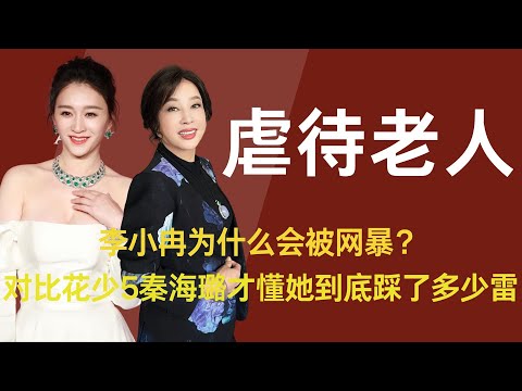李小冉为什么会被网暴？对比花少5秦海璐才知道她到底踩了多少雷 #李小冉 #一路繁花 #刘晓庆 #秦海璐 #花少5