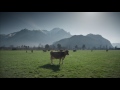Werbespot