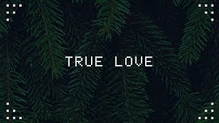 Ariana Grande - True Love (Lyrics) HD
