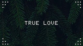Ariana Grande - True Love (Lyrics) HD
