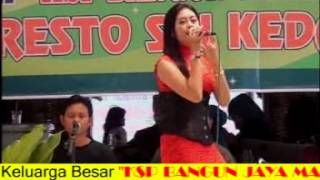 Download lagu PRIA IDAMAN MAYASARI KEDATON mp3