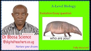 Evolution Essay revision questions