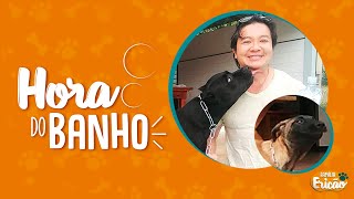 7 ERROS COMUNS AO DAR BANHO EM SEUS CES - FAMLIA ERICO