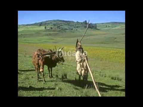 FINOTESELAM(SOLOMON DEMELIE)