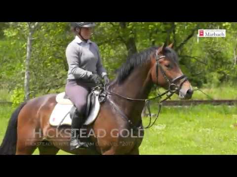 Hickstead Gold *2017 v. Hickstead White - Quidam de Revel